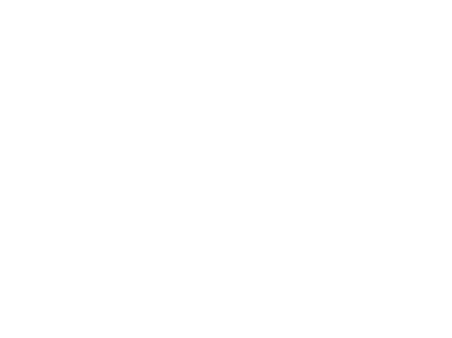 No Fear 04